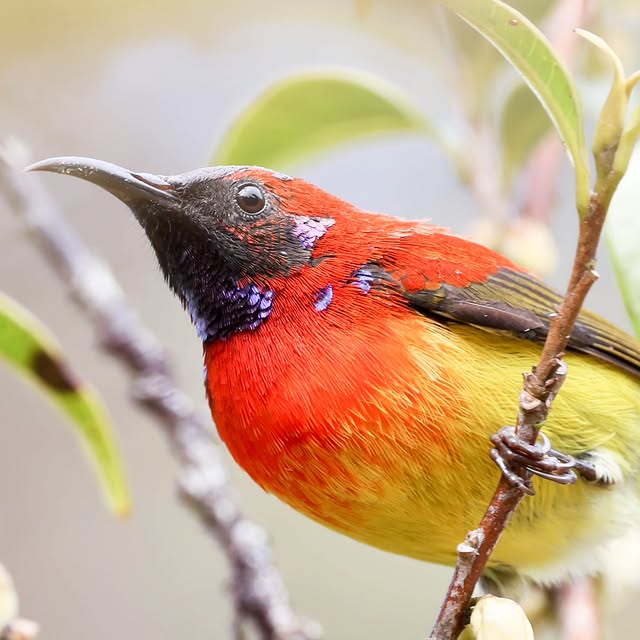  .....yland   'recent posts' 