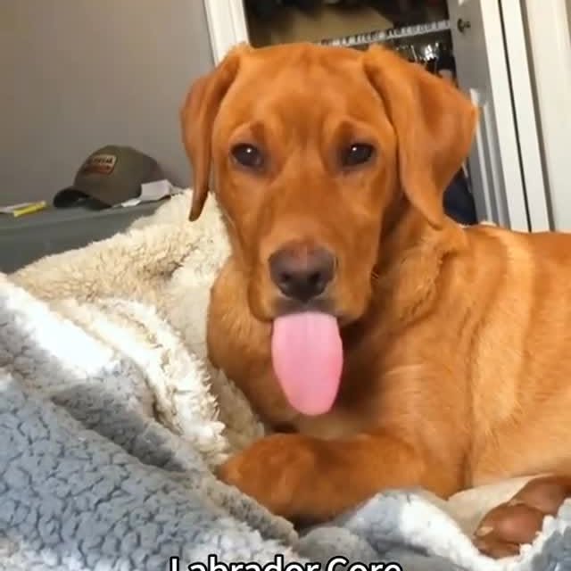  .......r_class   'recent posts' 