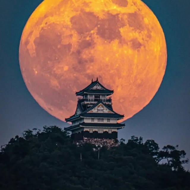  ......inside   'recent posts' 