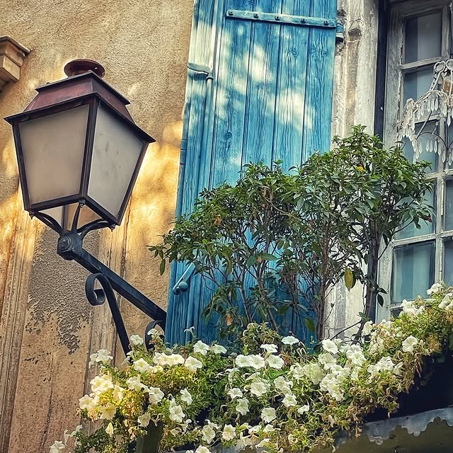  ......_viola   'recent posts' 