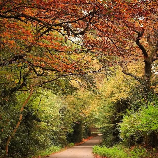  .........tiesdaily   'recent posts' 