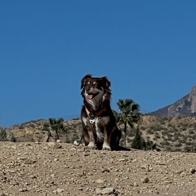  .....og2020   'recent posts' 