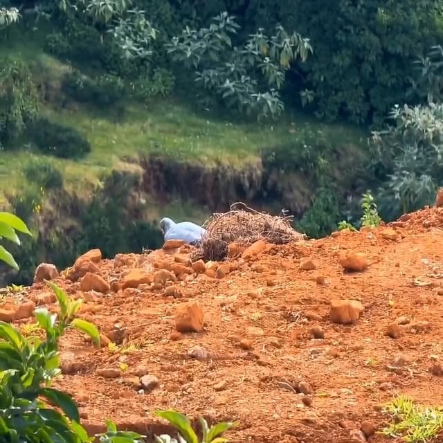  ......vanlife   'recent posts' 