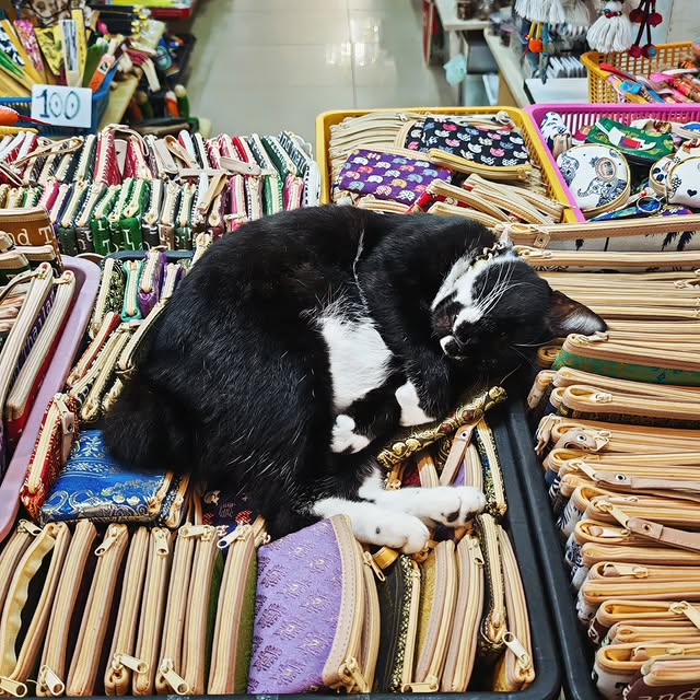  .....uslong   'recent posts' 