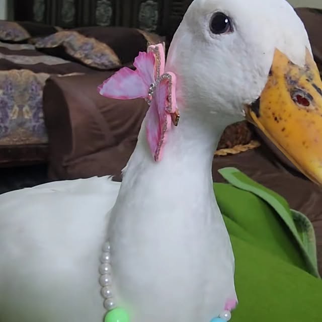  ........ckstatue   'recent posts' 