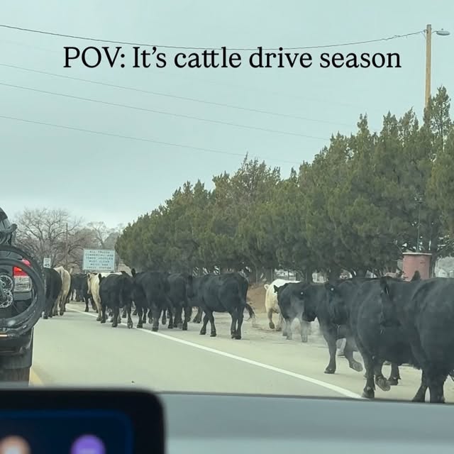  ....aikie   'recent posts' 