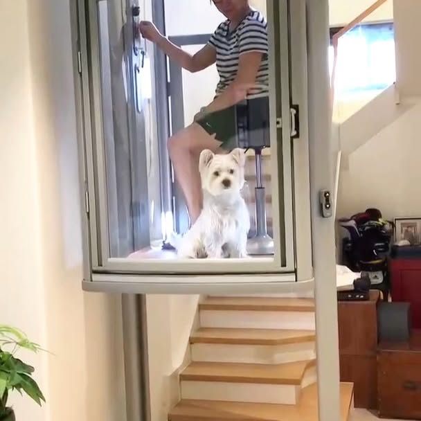  .....mhouse   'recent posts' 