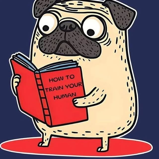 .....of.pug   'recent posts' 