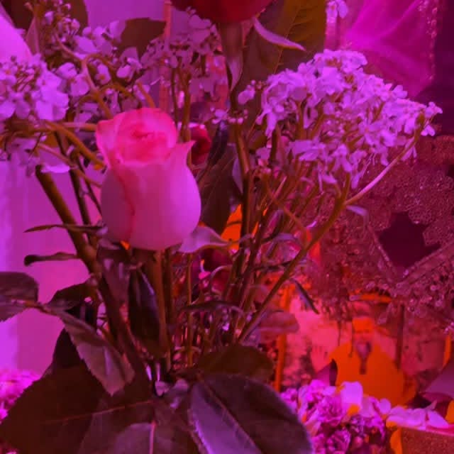  ............na_bihari_ji   'recent posts' 