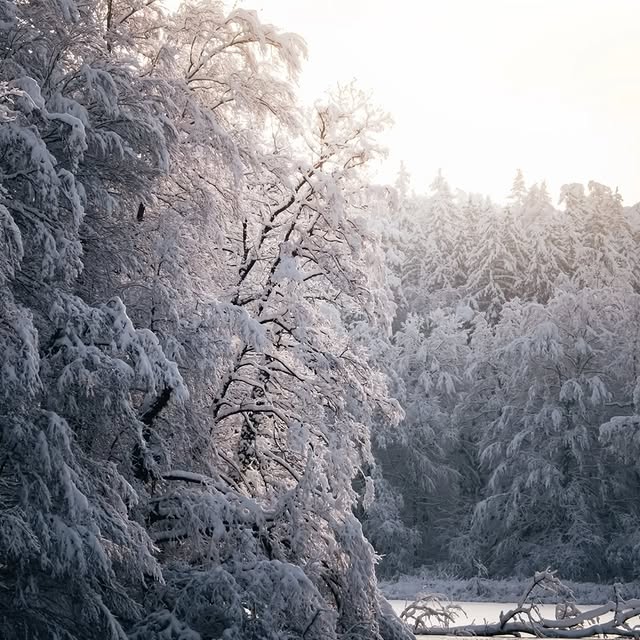  ..........discoverer   'recent posts' 