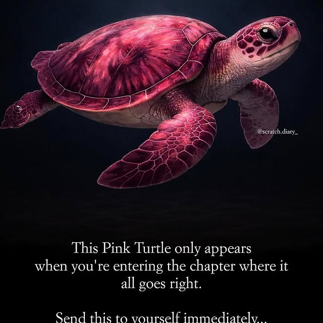  ........ractioni   'recent posts' 