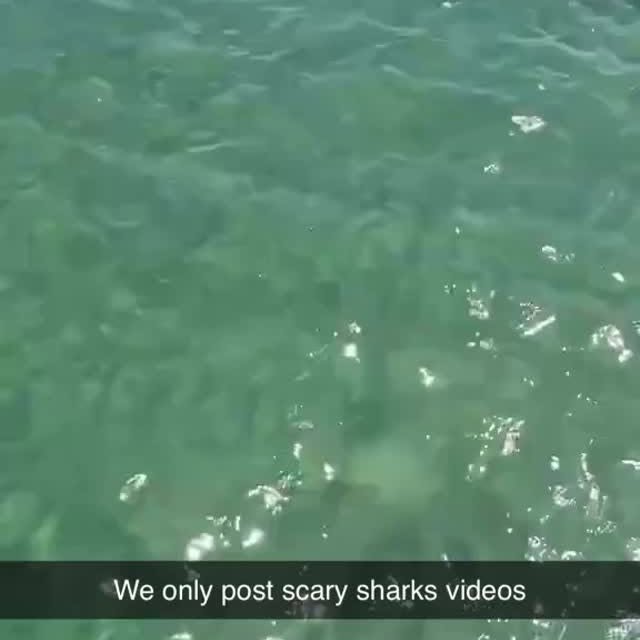  .........arkattacks   'recent posts' 