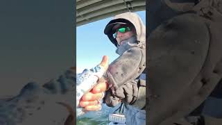  ....... Roberts  'recent videos' 