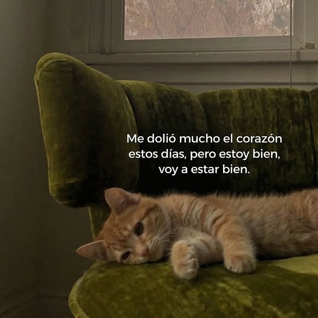  ......epicos   'recent posts' 