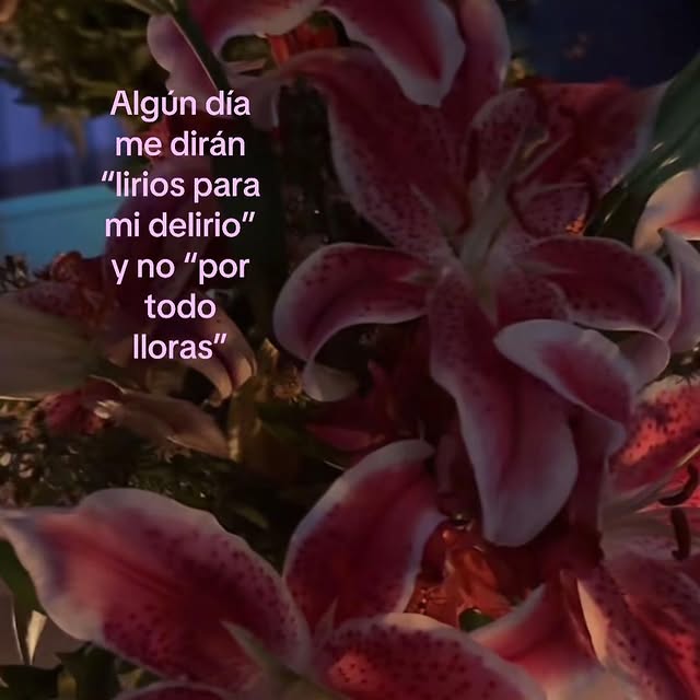  ....inea   'recent posts' 