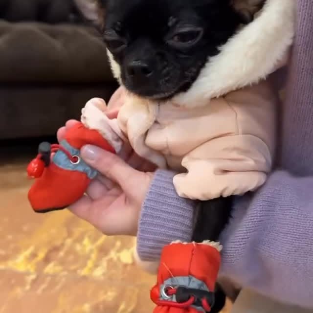  .......uapuppy   'recent posts' 