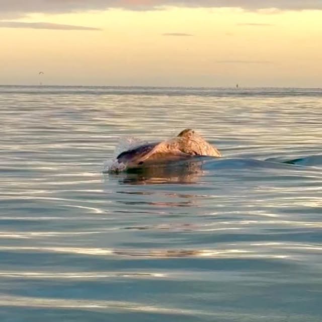  ....._nate   'recent posts' 