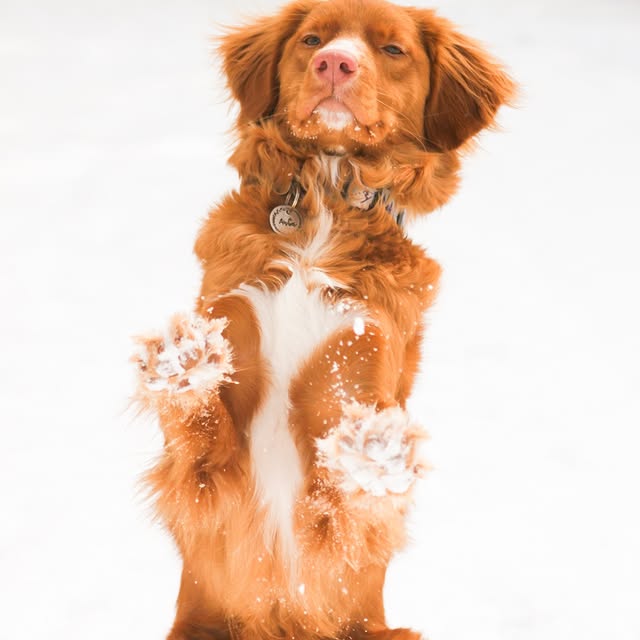  ......atoller   'recent posts' 