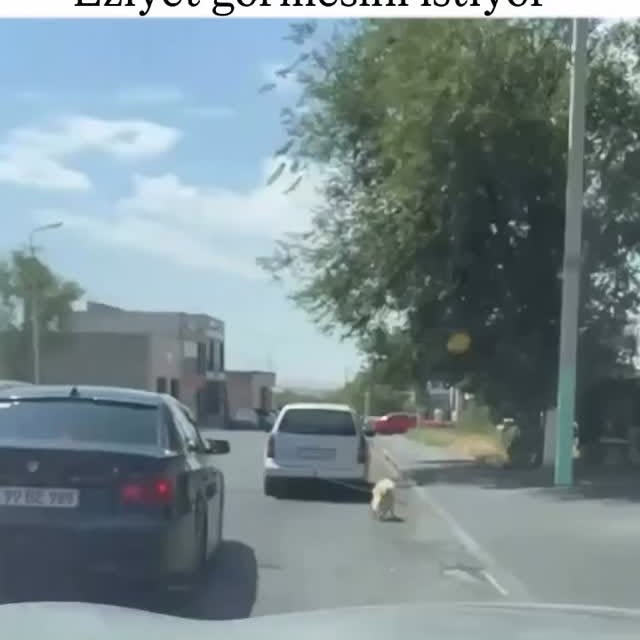  ....ash_   'recent posts' 