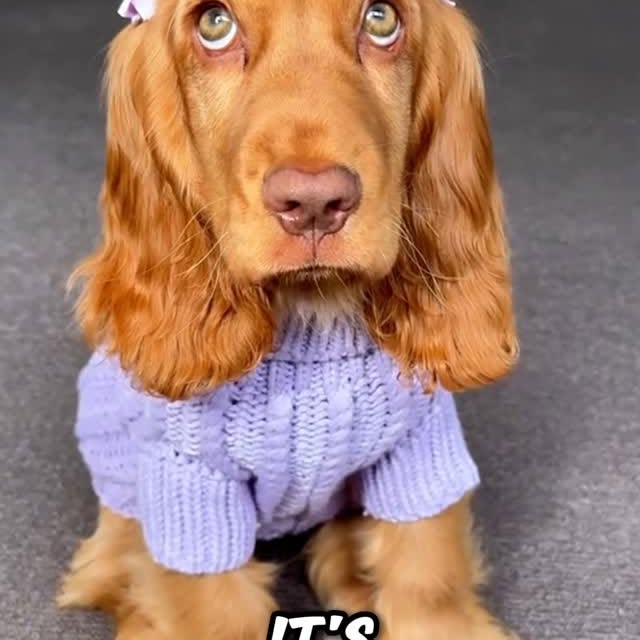  ........ykingdom   'recent posts' 