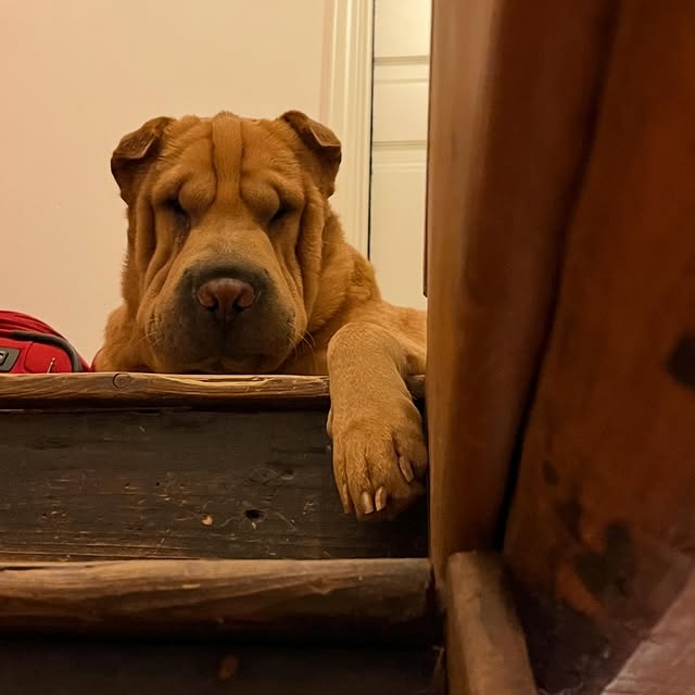  ......i.world   'recent posts' 