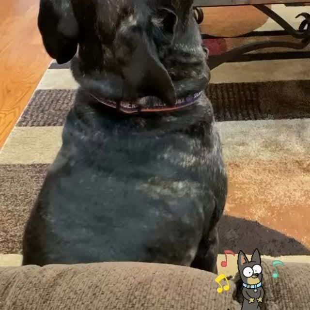  ........versgram   'recent posts' 