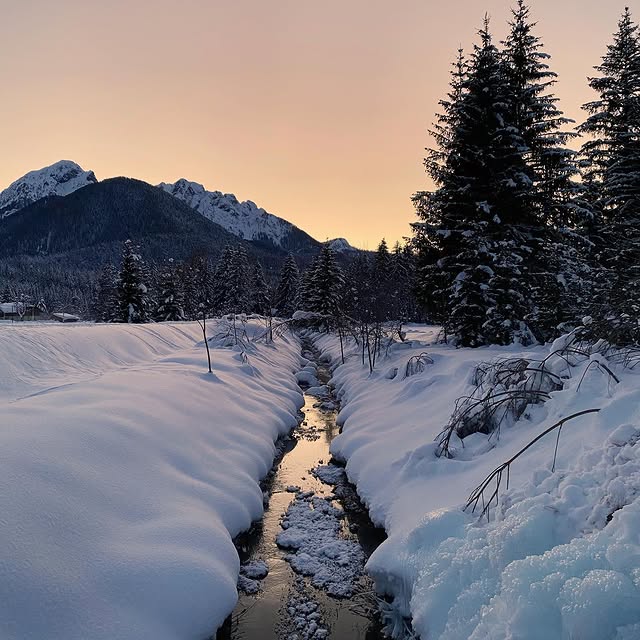  .....shflow   'recent posts' 