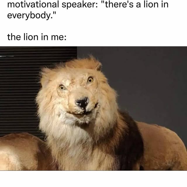  .....memes   'recent posts' 