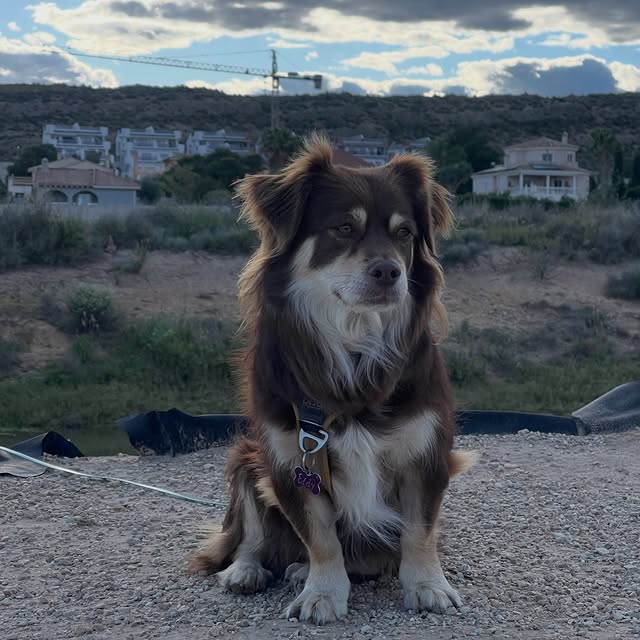  .....og2020   'recent posts' 