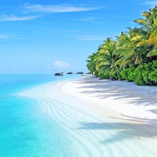 Hire .....ravel influencer with 7.1k