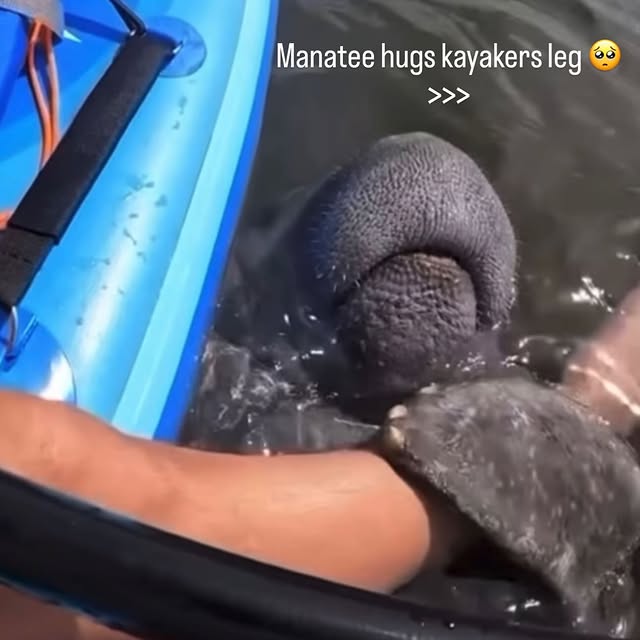  .....lorida   'recent posts' 