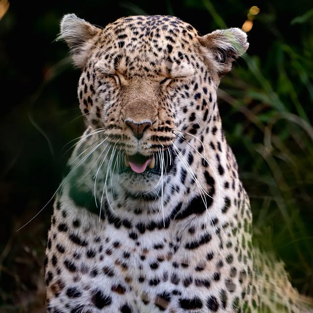  .........._sightings   'recent posts' 