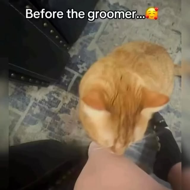  .....li9ht   'recent posts' 