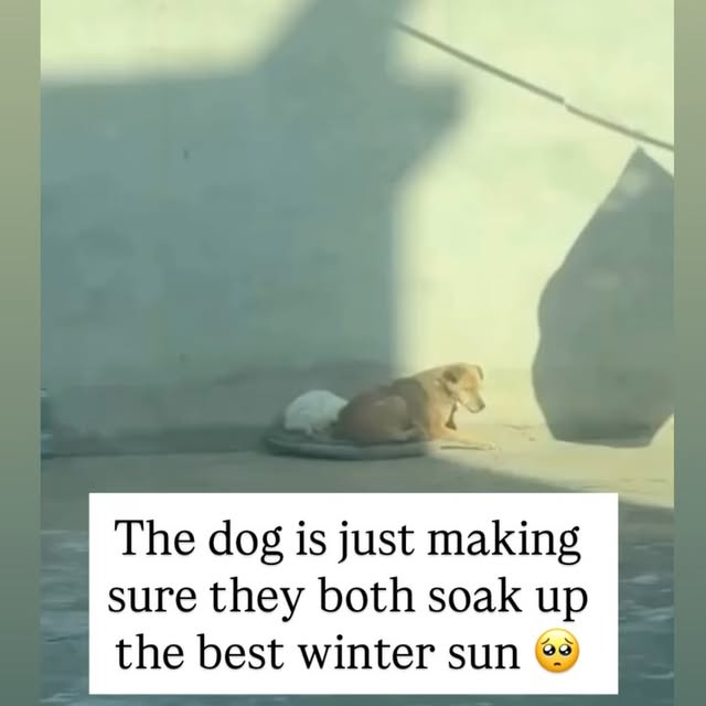  ....s.acc   'recent posts' 