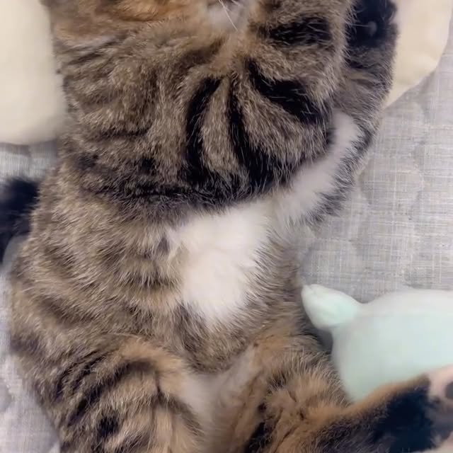  ...sjpg   'recent posts' 