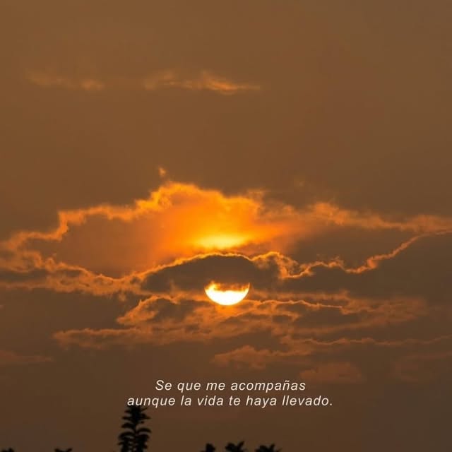  ......oencafe   'recent posts' 