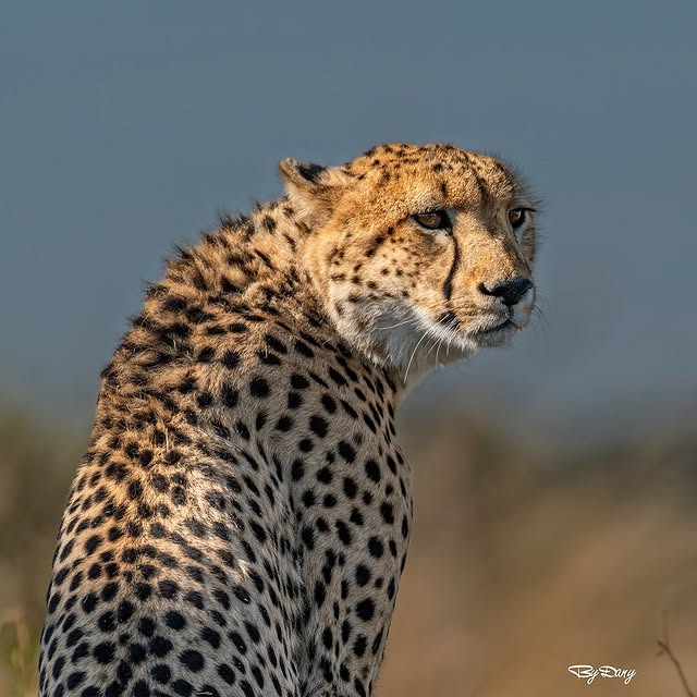  .........._sightings   'recent posts' 