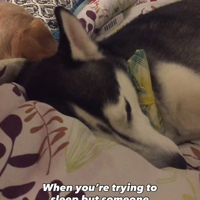  .....tmiles   'recent posts' 