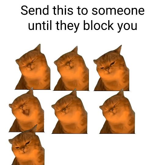  ......anacat   'recent posts' 