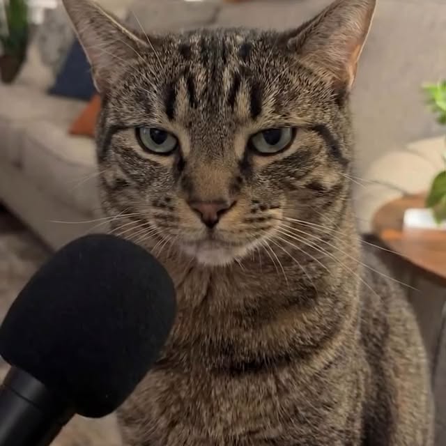  .....li9ht   'recent posts' 