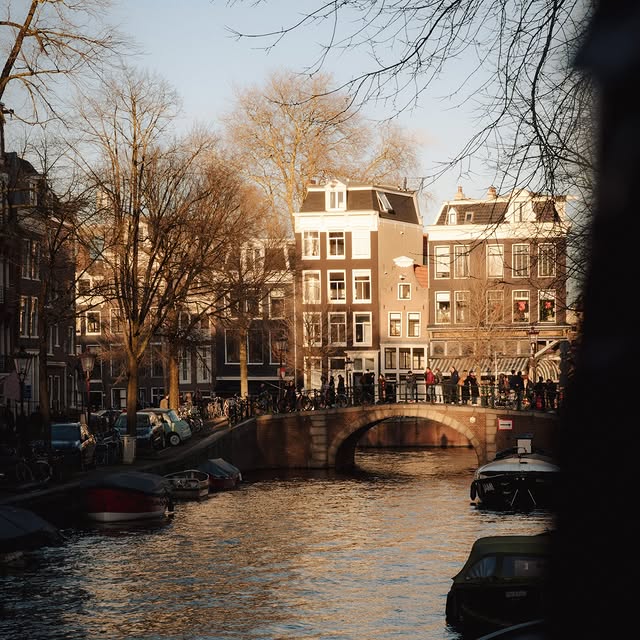  .......amshots   'recent posts' 