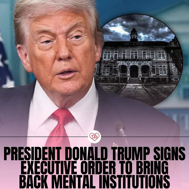  .....vid.s   'recent posts' 