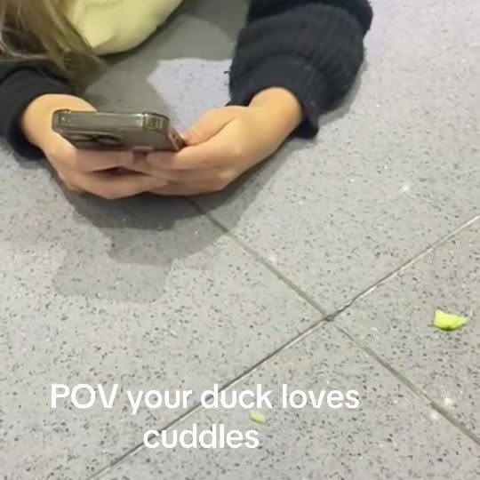  ........ckstatue   'recent posts' 