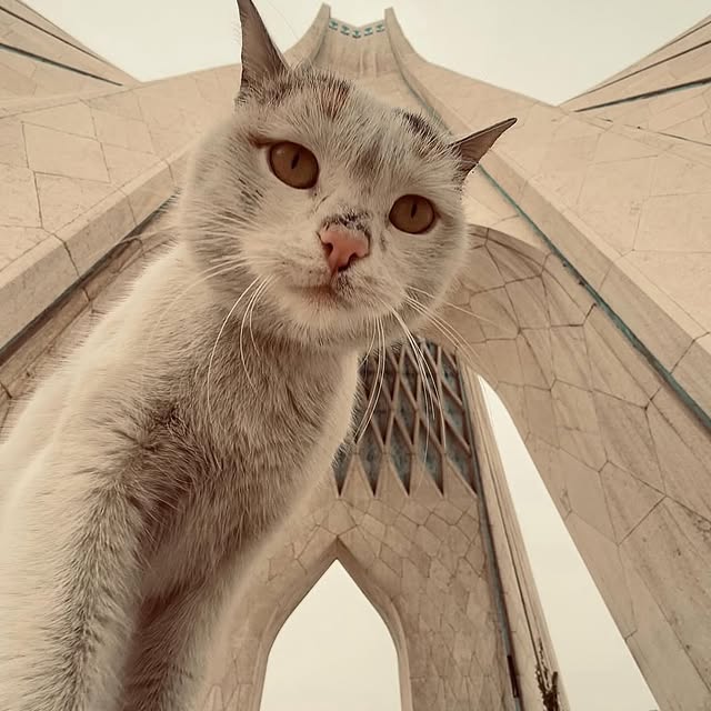  ......erfever   'recent posts' 