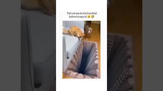  ..eko  'recent videos' 