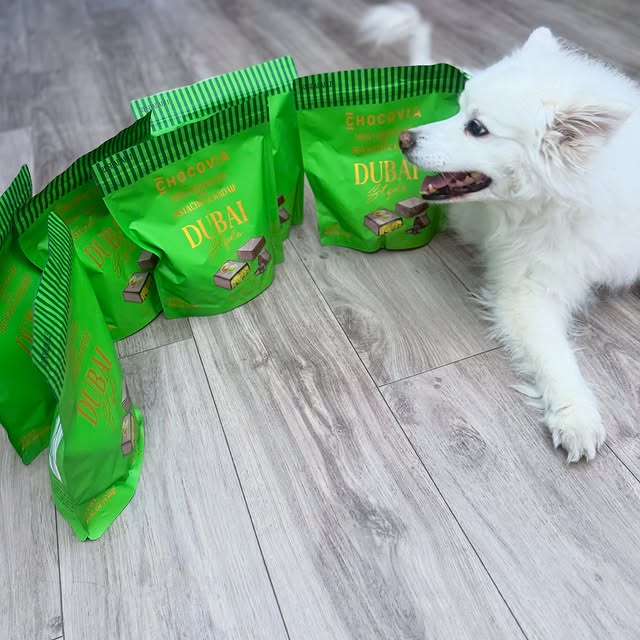  .......heeskie   'recent posts' 