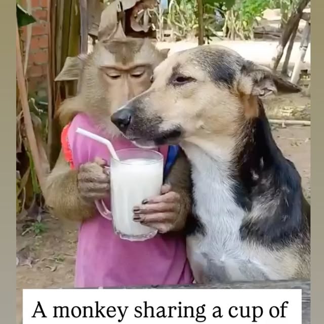  ....s.acc   'recent posts' 