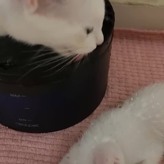  ...........irtonguesout   'recent posts' 