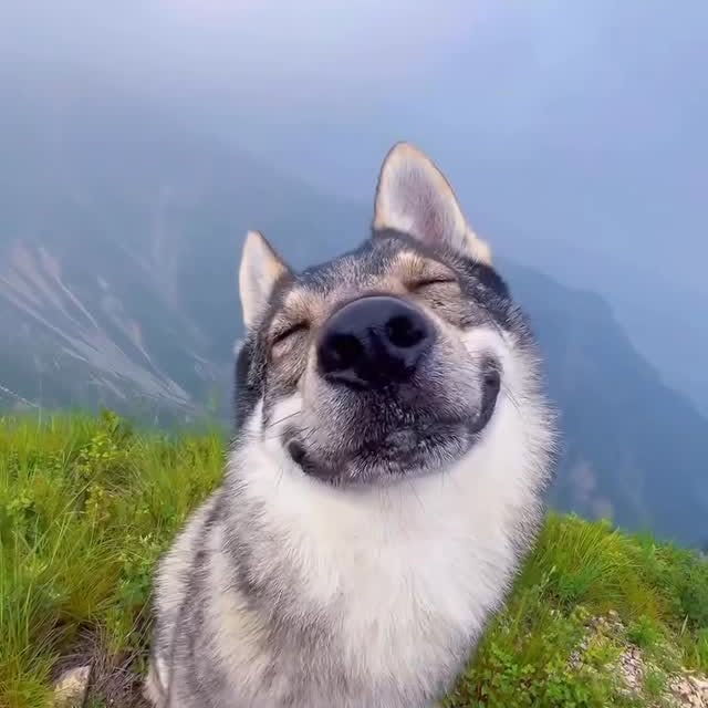  ........unlocked   'recent posts' 