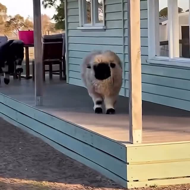  ...urre   'recent posts' 